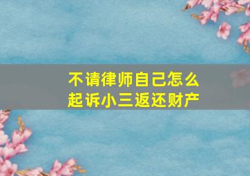 不请律师自己怎么起诉小三返还财产