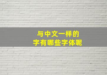 与中文一样的字有哪些字体呢