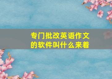 专门批改英语作文的软件叫什么来着