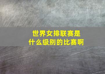 世界女排联赛是什么级别的比赛啊