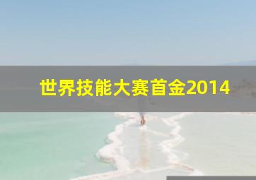 世界技能大赛首金2014