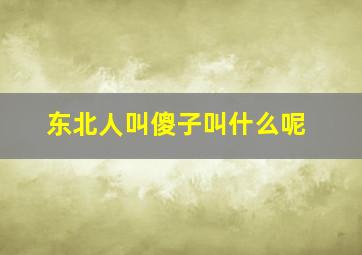 东北人叫傻子叫什么呢