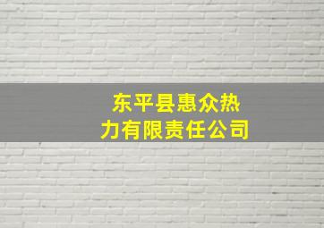 东平县惠众热力有限责任公司