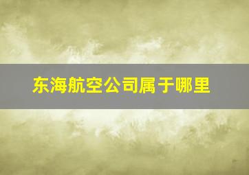 东海航空公司属于哪里