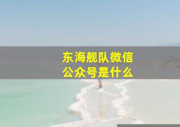 东海舰队微信公众号是什么