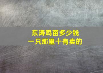 东涛鸡苗多少钱一只那里十有卖的