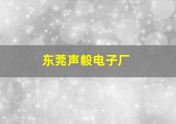 东莞声毅电子厂