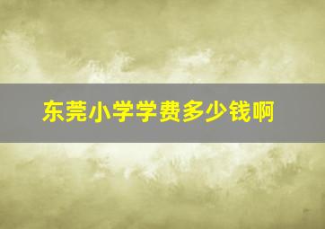 东莞小学学费多少钱啊