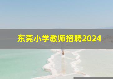 东莞小学教师招聘2024