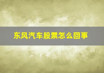 东风汽车股票怎么回事