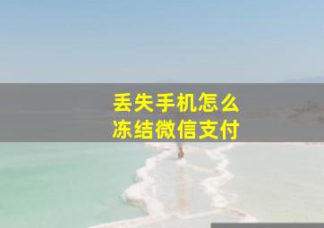 丢失手机怎么冻结微信支付