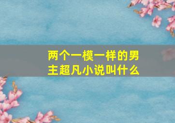 两个一模一样的男主超凡小说叫什么