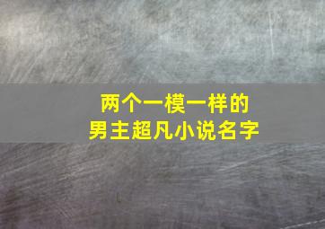 两个一模一样的男主超凡小说名字