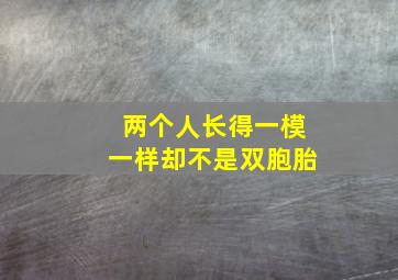 两个人长得一模一样却不是双胞胎