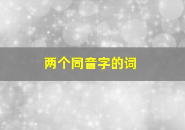 两个同音字的词