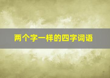 两个字一样的四字词语