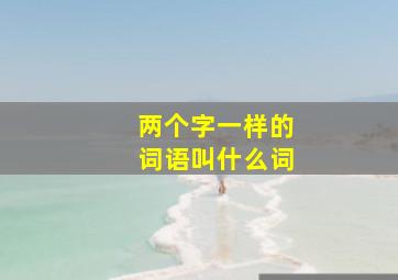 两个字一样的词语叫什么词