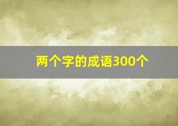 两个字的成语300个