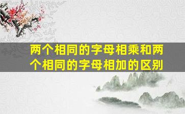 两个相同的字母相乘和两个相同的字母相加的区别