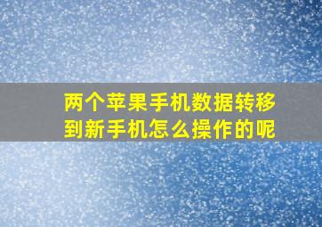 两个苹果手机数据转移到新手机怎么操作的呢