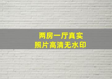 两房一厅真实照片高清无水印