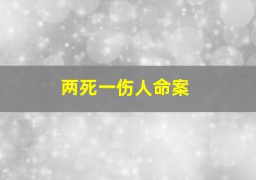 两死一伤人命案