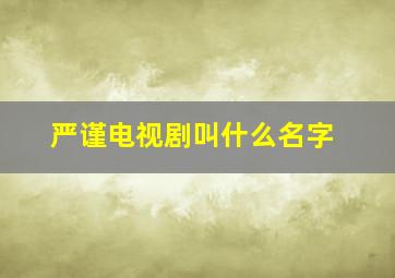 严谨电视剧叫什么名字