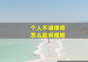 个人不请律师怎么起诉模板