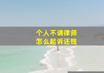 个人不请律师怎么起诉还钱