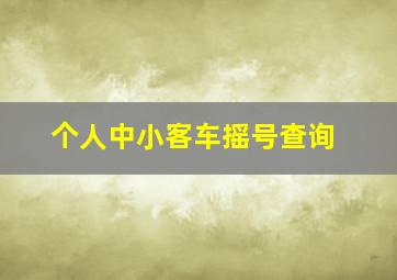 个人中小客车摇号查询