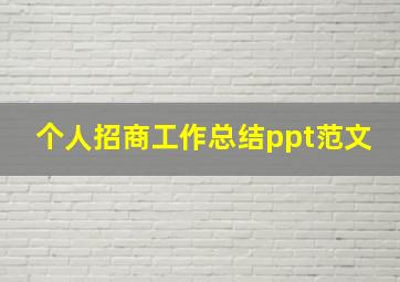 个人招商工作总结ppt范文