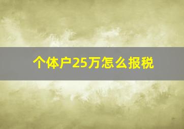 个体户25万怎么报税