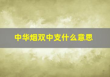 中华烟双中支什么意思