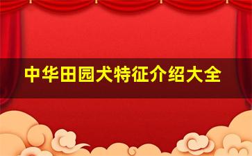 中华田园犬特征介绍大全