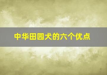 中华田园犬的六个优点