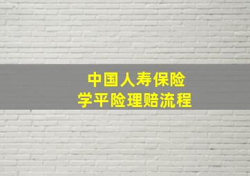 中国人寿保险学平险理赔流程