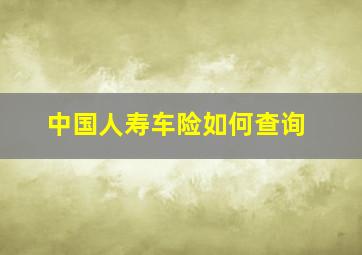 中国人寿车险如何查询