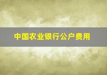 中国农业银行公户费用