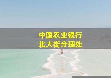 中国农业银行北大街分理处