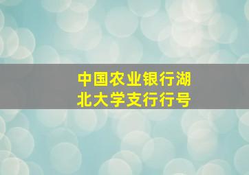 中国农业银行湖北大学支行行号