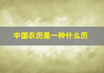 中国农历是一种什么历