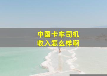 中国卡车司机收入怎么样啊