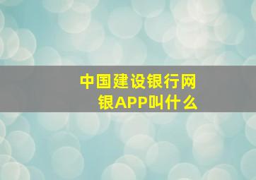 中国建设银行网银APP叫什么