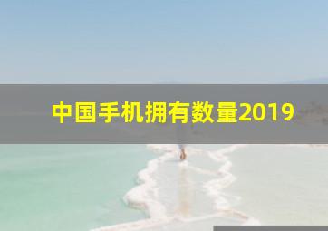 中国手机拥有数量2019