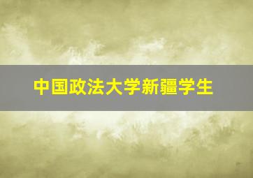 中国政法大学新疆学生