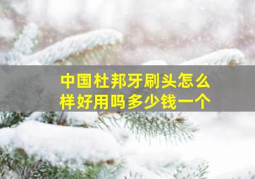 中国杜邦牙刷头怎么样好用吗多少钱一个