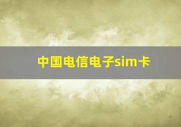 中国电信电子sim卡