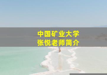 中国矿业大学张悦老师简介