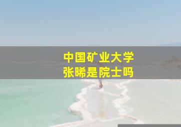 中国矿业大学张晞是院士吗