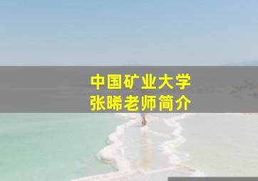 中国矿业大学张晞老师简介